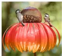 Bird Feeder Yellow