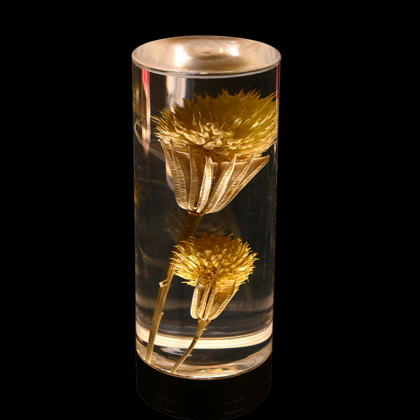 Dandelion