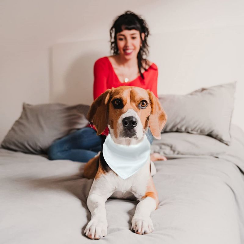 Fashion Adjustable Personalized Thermal Transfer Dog Scarf