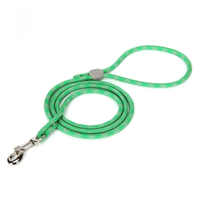 Colorful Color Sliding Adjustable Pet Leash Grass Green - Shop at LoveMi