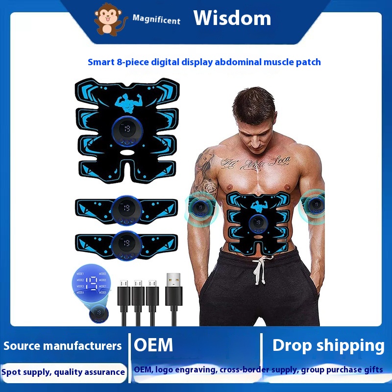 Title 6, EMS8 Abdominal Muscle Abdomen Trainer Home Spor...