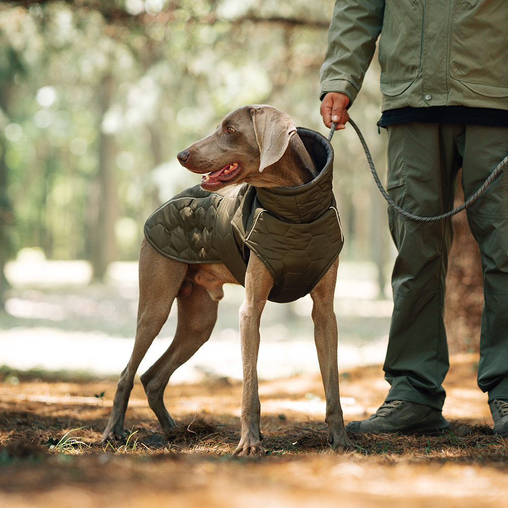 Title 7, Roupa de inverno para cães espessa, aquecida e ...