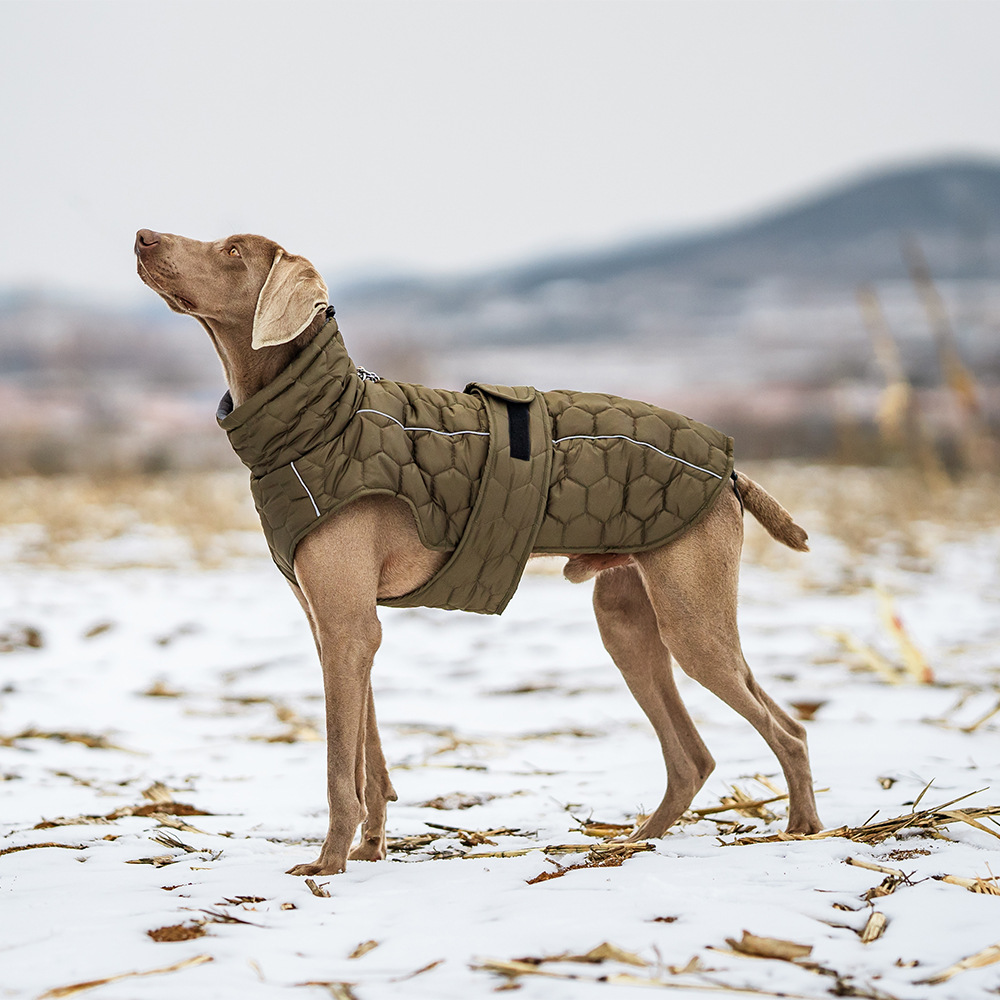 Title 2, Roupa de inverno para cães espessa, aquecida e ...