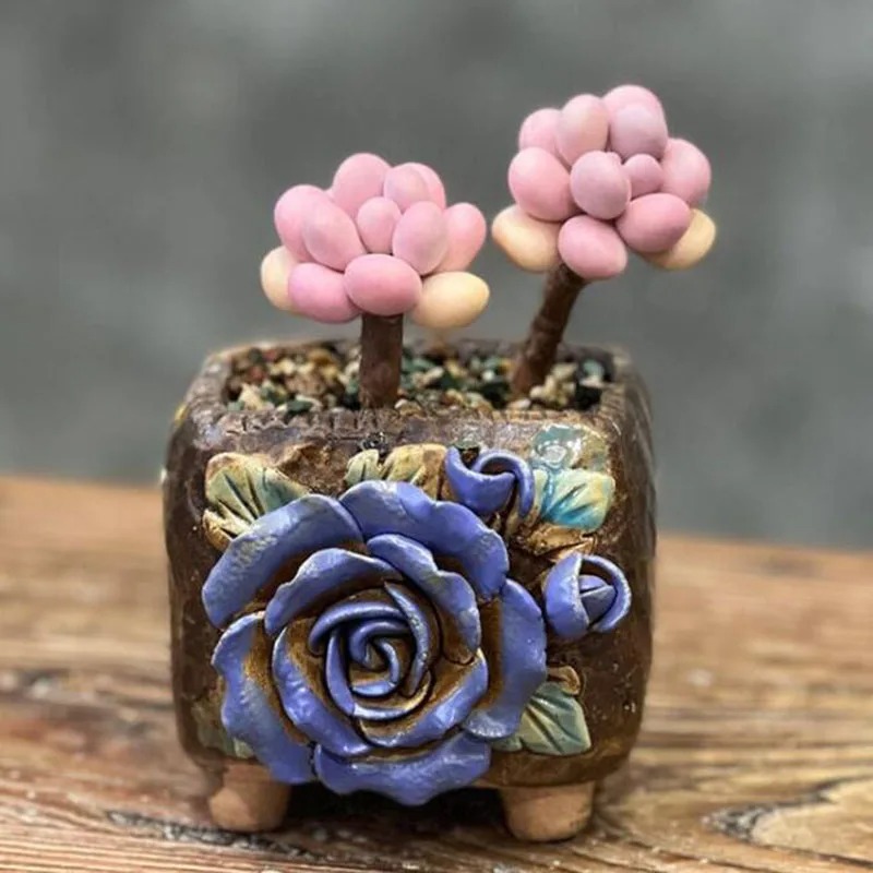 Title 5, Stoneware Medical Stone Hand Pinch Flower Succu...