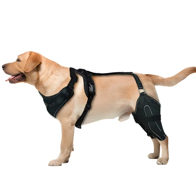 Pet Protective Gear Dog Thigh Protective Sleeve Postoperative Auxiliary Leg Warmer Adjustable Metal Support Black - Shop at LoveMi