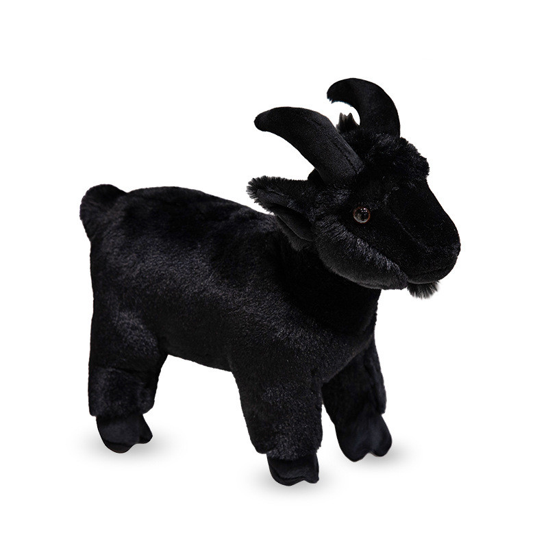 Black Goat