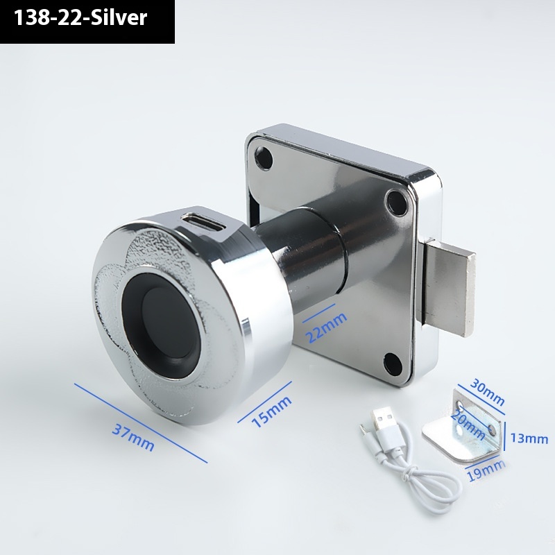 13822 Silver