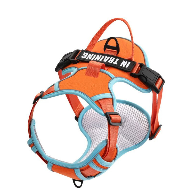 Orange chest strap