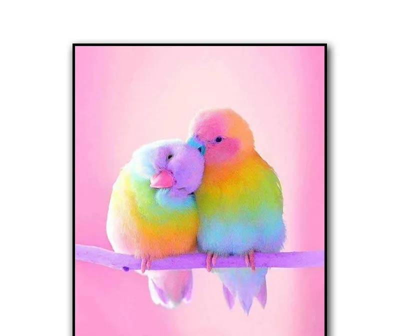 Rubik's Cube Round Diamond Parrot Painting Living