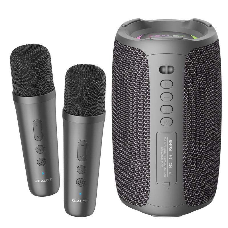 Black Dual Microphone