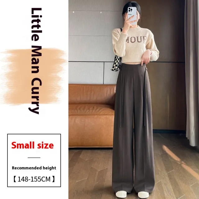 Gray Woolen Pants Women's Draping Thickened High Waist Slimming Loose Brown Small Man - Shop at LoveMi