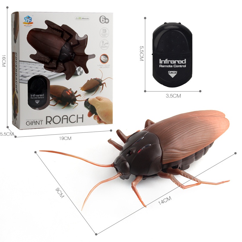 Cockroach