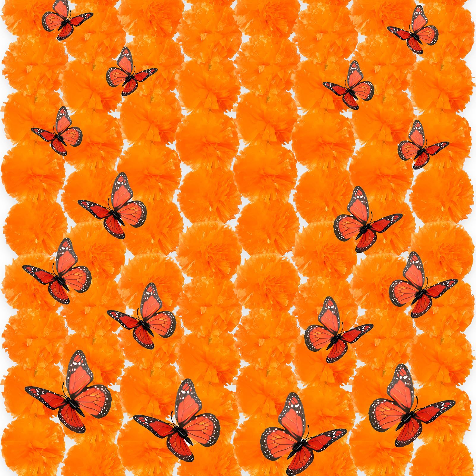 OrangeButterfly