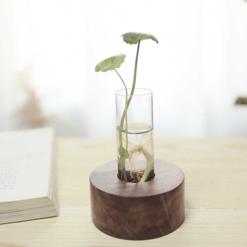 Title 1, Desktop Hydroponic Decoration Minimalist Creati...