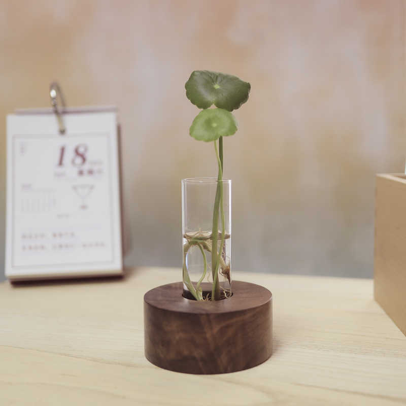 Title 4, Desktop Hydroponic Decoration Minimalist Creati...