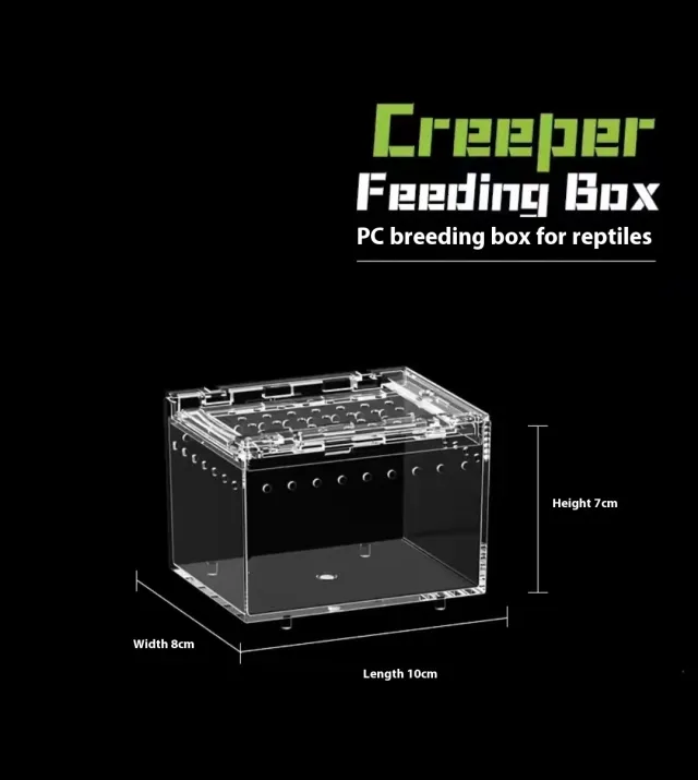 Crawler Acrylic High Permeability Feeding Box Small Size - Shop at LoveMi