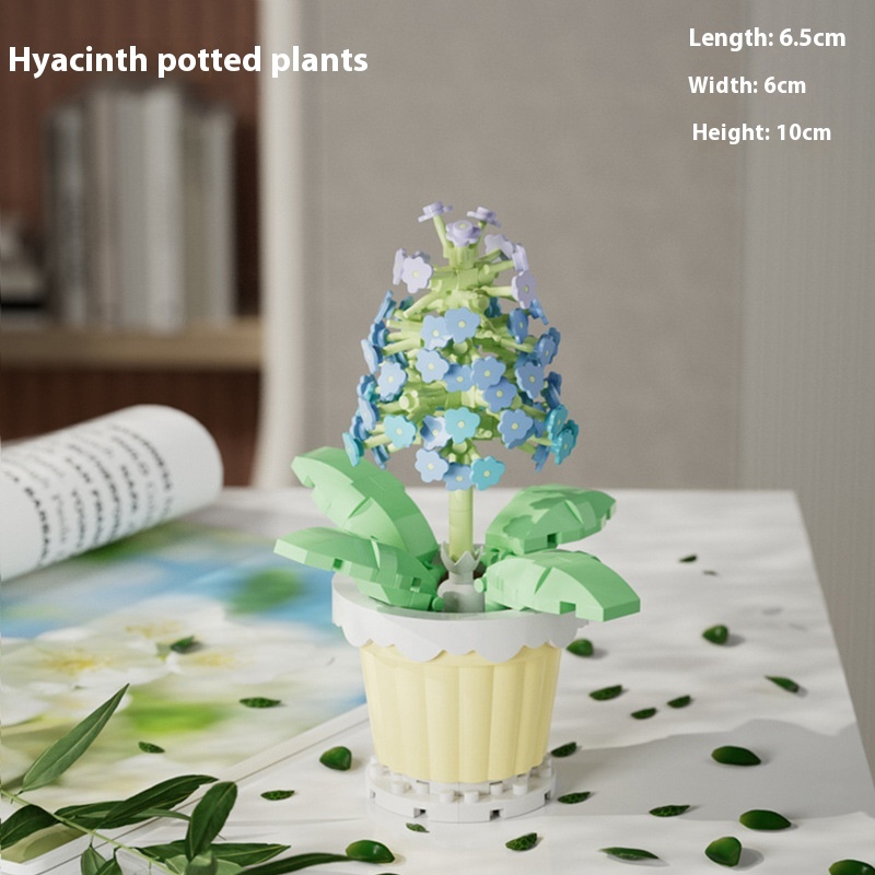 Hyacinth 202 Particles