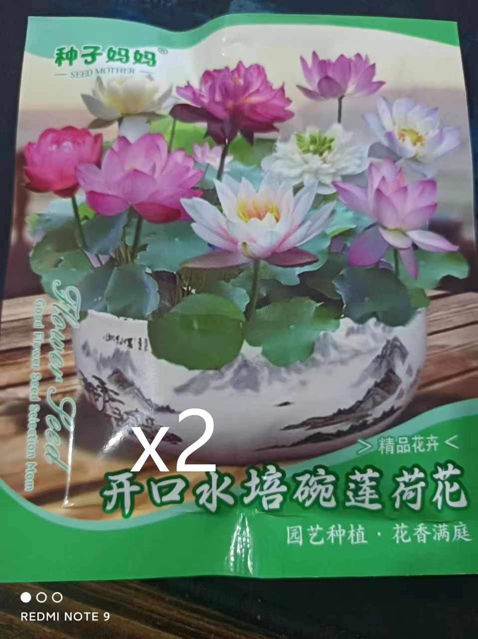 Bowl Lotus Seeds 20Tablets