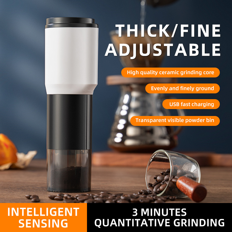 Title 1, Electric Rechargeable Intelligent Timing Americ...