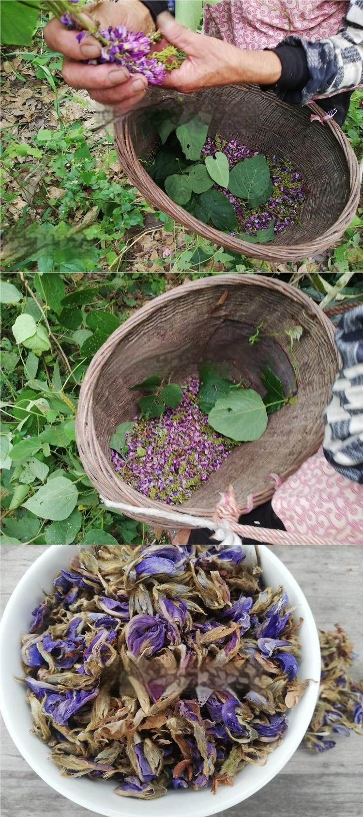 Title 1, Wild Hangover Tea Sulfur-free Pueraria Flower H...