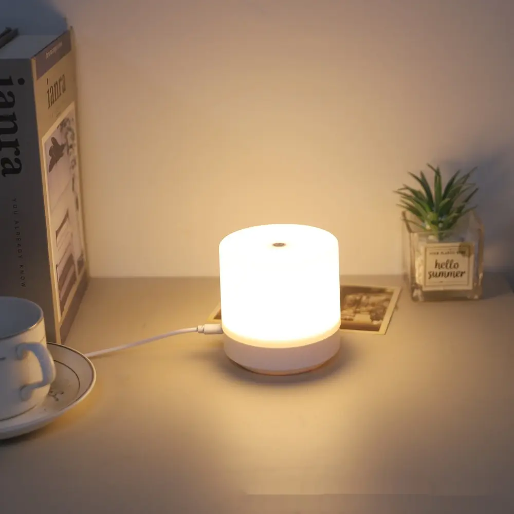 New Chargeable With Remote Control Touch Small Night Lamp Bedroom Ambience Light Sleep Light