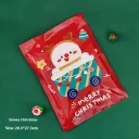 Christmas On Snowy Night