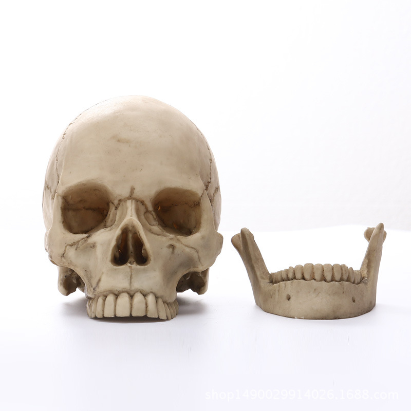 Title 5, 11 Skull Resin Skull Skull Skull Crafts Persona...