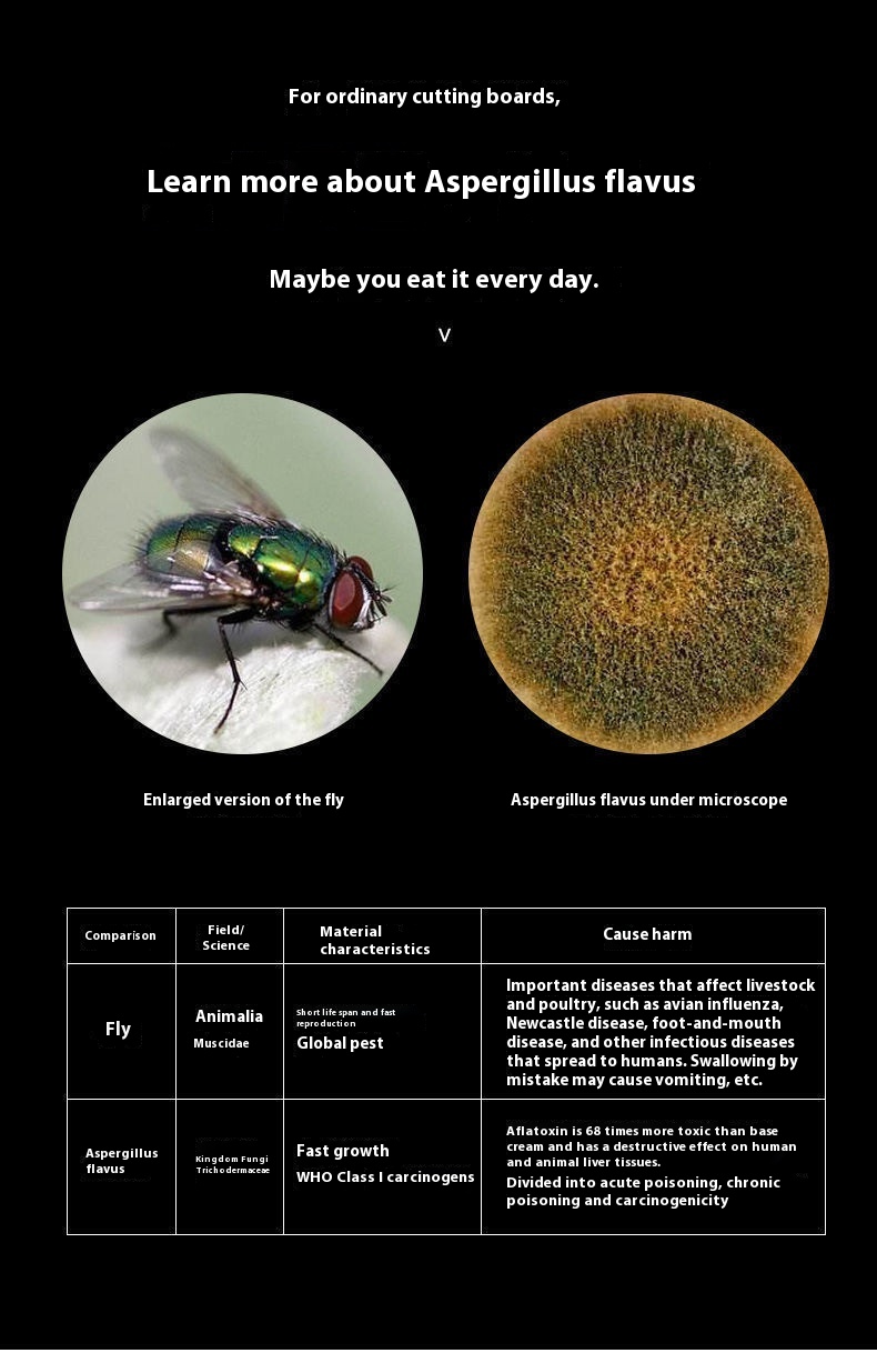 Title 6, Double-sided Thickened Antibacterial And Mildew...