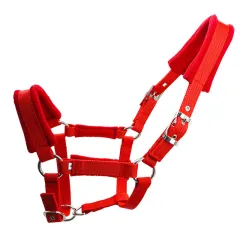 25mm Wide Pp Braid Metal With Lacelock Horse Faucet - Red - View 1