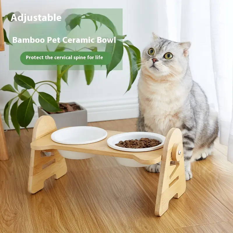 Oblique Mouth Pet Cervical Spine Protection Cat