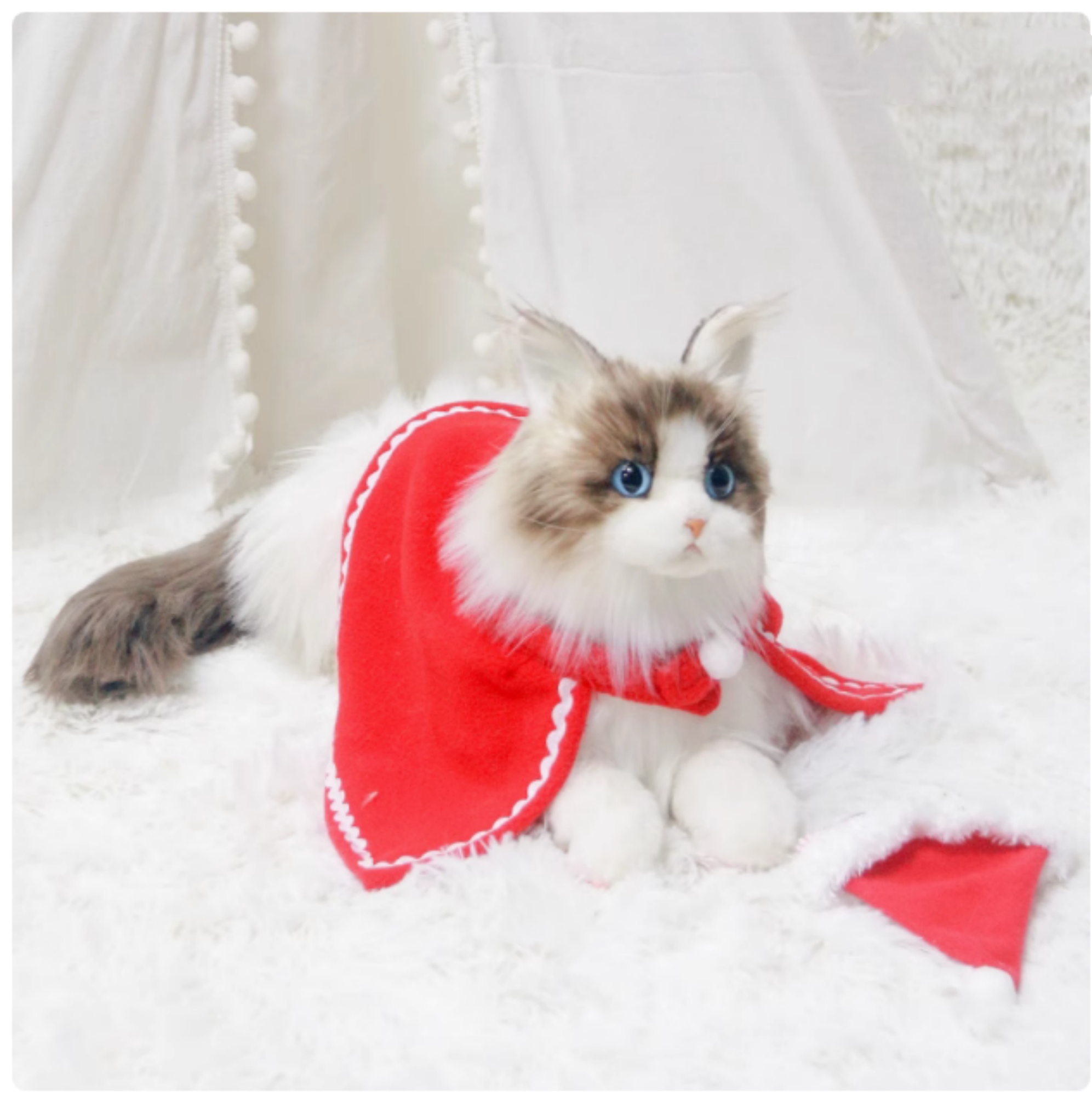 Red Cape