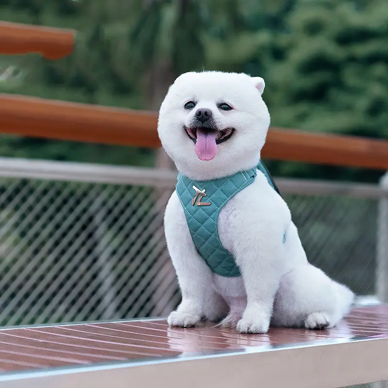 Dog Hand Holding Rope Chest Strap Small