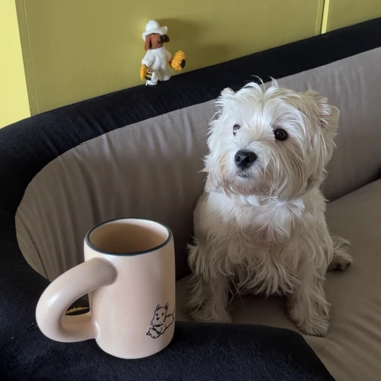 Sausage Dog And West Highland Coffee Cup