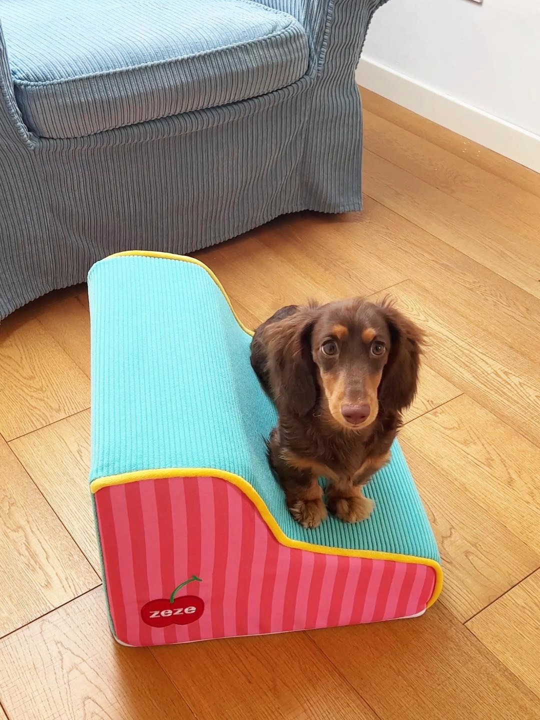 Title 3, Pet Stairs Step Small Removable And Washable Sp...