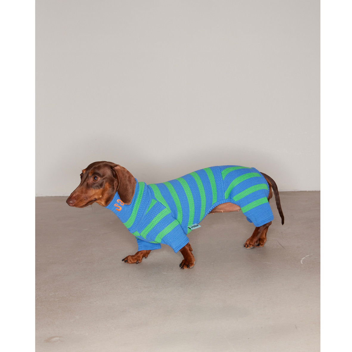 Title 6, Knitted Contrast Color Stretch Four-legged Pet ...