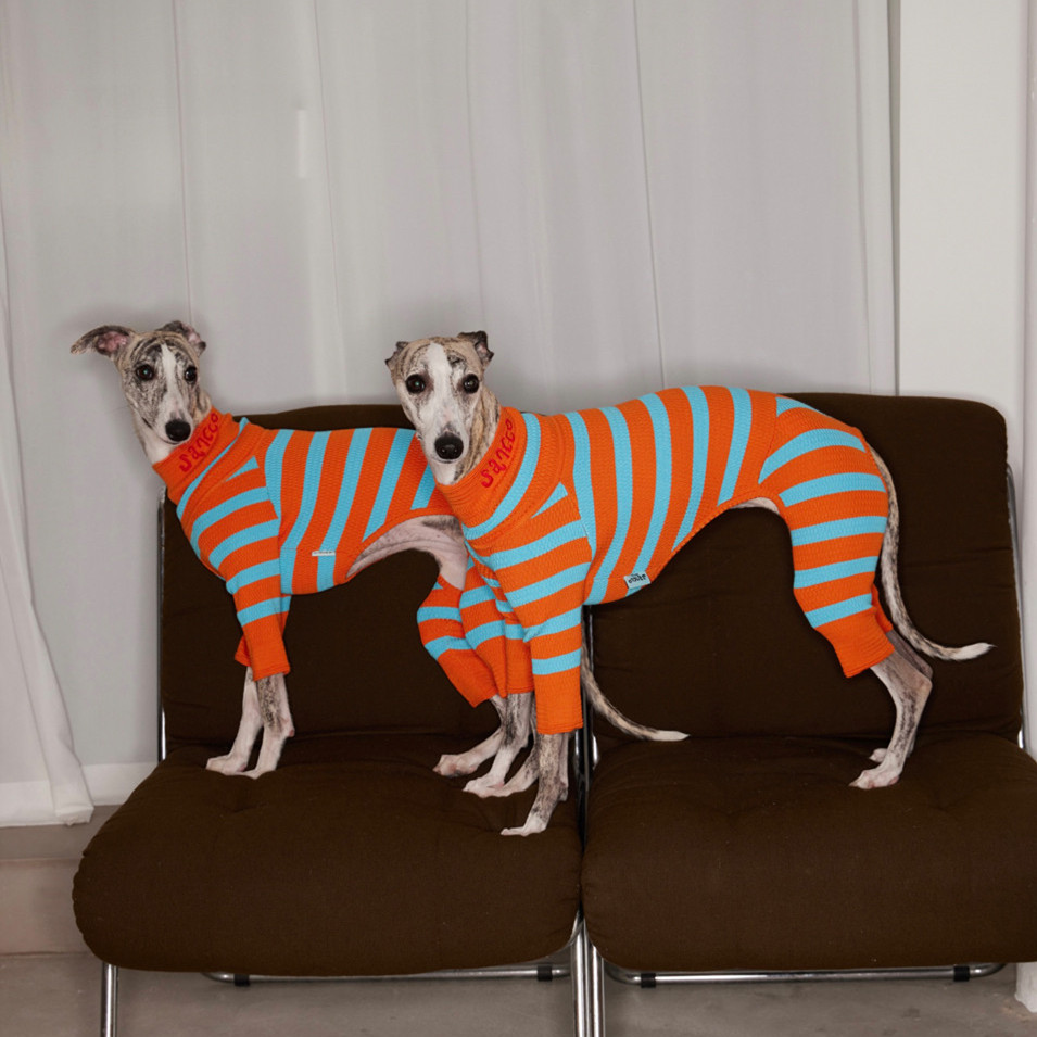 Title 7, Knitted Contrast Color Stretch Four-legged Pet ...