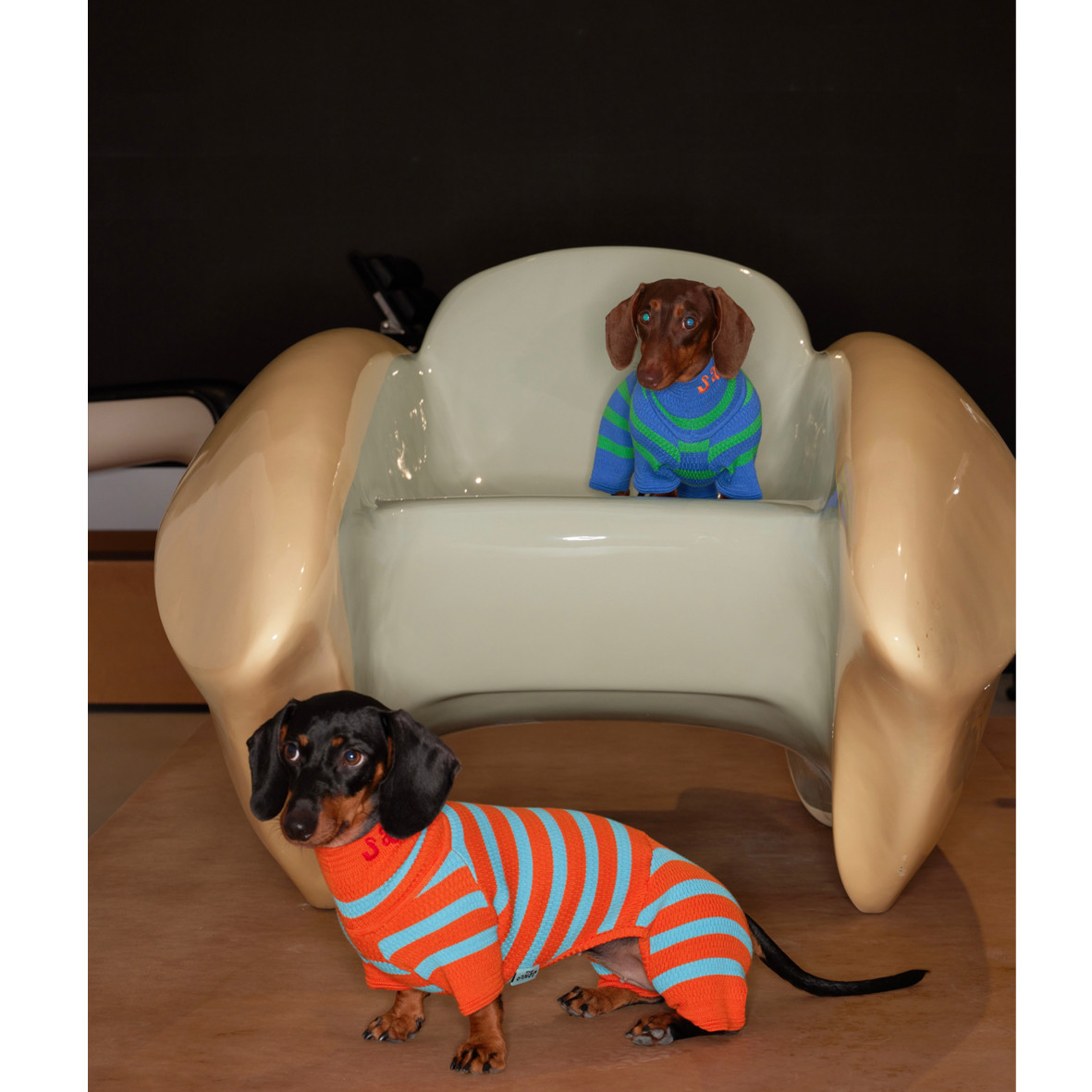 Title 5, Knitted Contrast Color Stretch Four-legged Pet ...