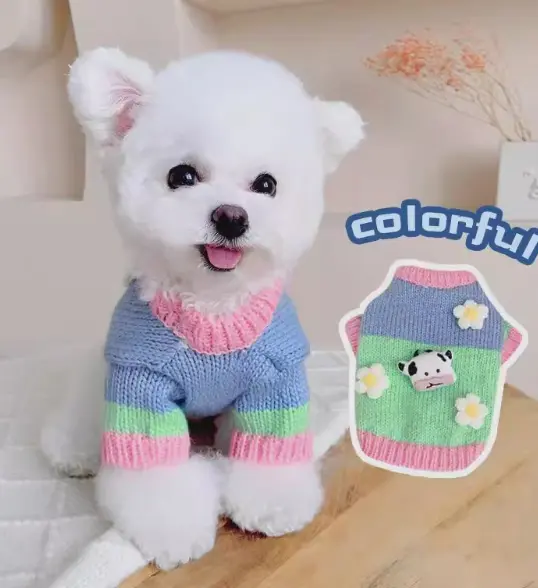 Pet Dog Autumn And Winter Clothing