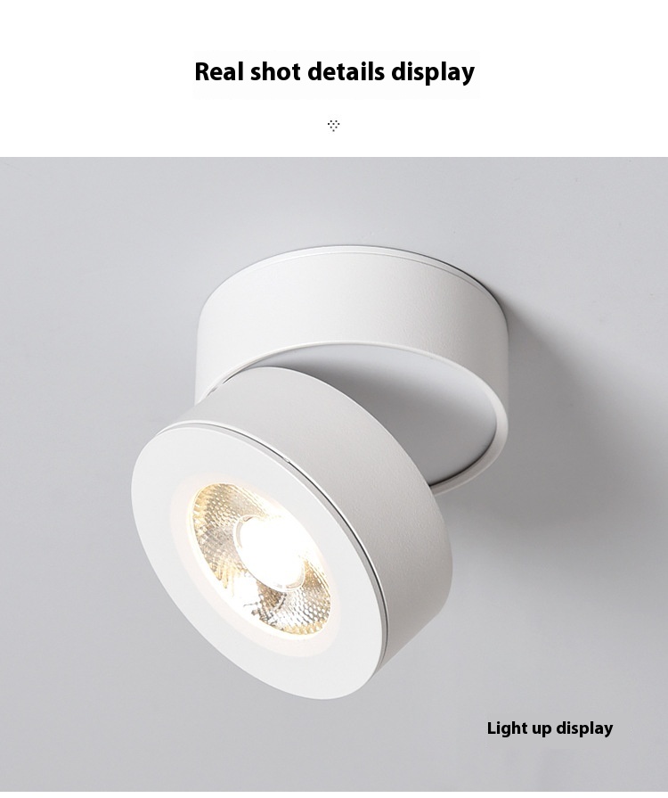 Title 14, Adjustable Angle Surface Mounted Spotlight Led ...