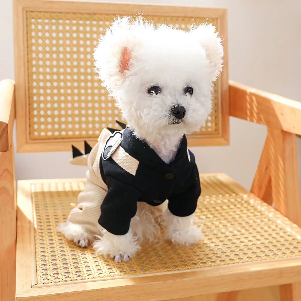 Pet Cute Cartoon Four-legged Pet Clothing Casual Suspender Trousers Dog Clothes