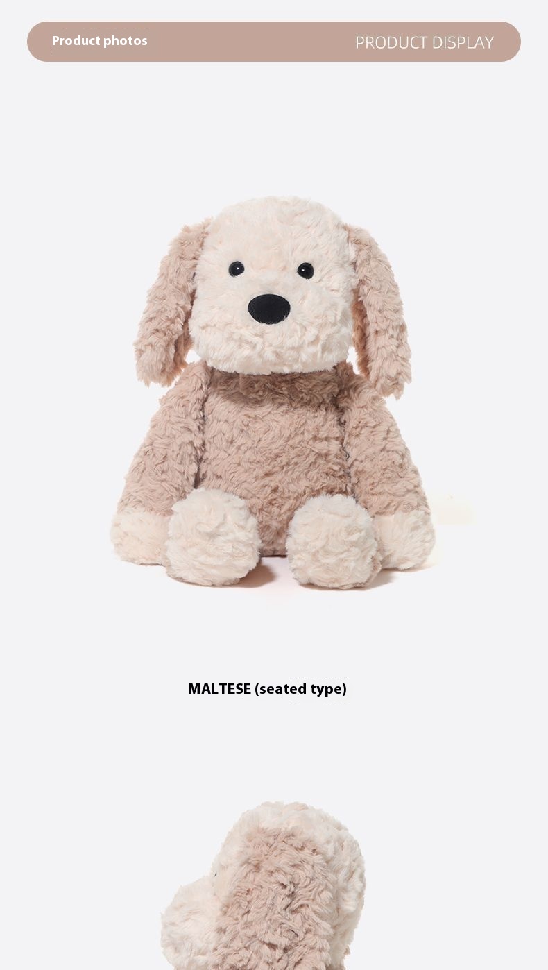 020e2940 3c5e 45f6 a982 39b41ea1a50f trans - Catch Maltese Dog Plush Toy Cute