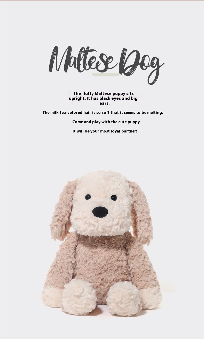 3dc0bda3 9b35 4def 8b62 dd18075db34e trans - Catch Maltese Dog Plush Toy Cute