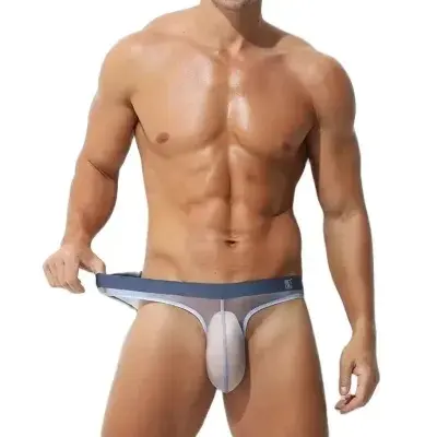 Underwear Men's Briefs Transparent Ice Silk Sexy