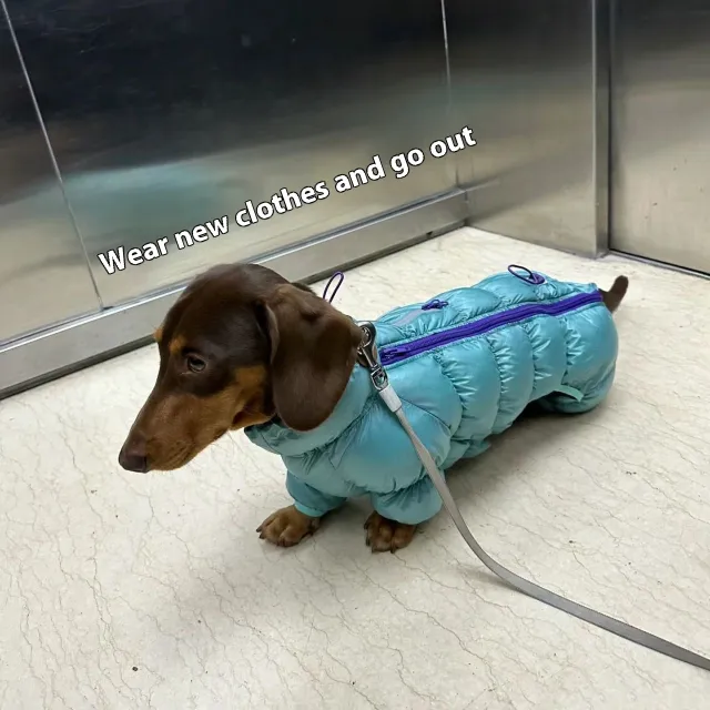 Autumn And Winter Pet Thermal Cotton padded Clothes Blue - Shop at LoveMi