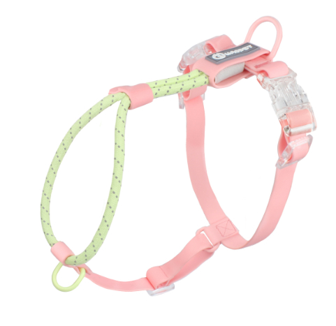 Taoyao Green Chest Strap