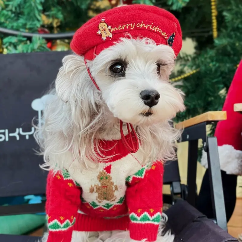 Dog Sweater Christmas Style Wool
