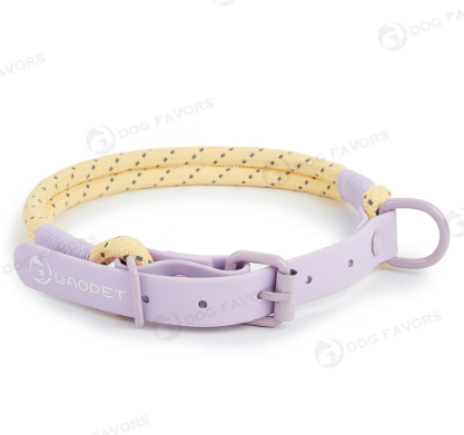 Crimson purple yellow collar