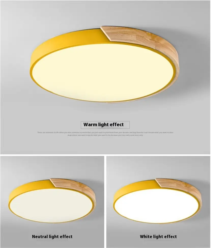 Creative Light Modern Minimalist Ceiling Lamp