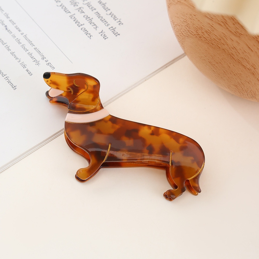 Dachshund