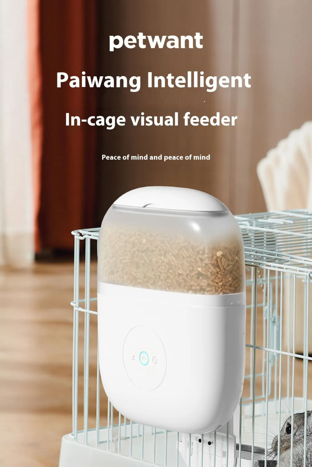 Automatic Pet Feeder Hamster Remote Surveillance Camera Rabbit Totoro Feeding Machine - F15W